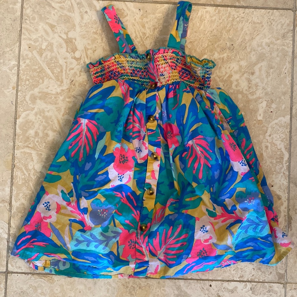 Cat and Jack 2T colorful dress